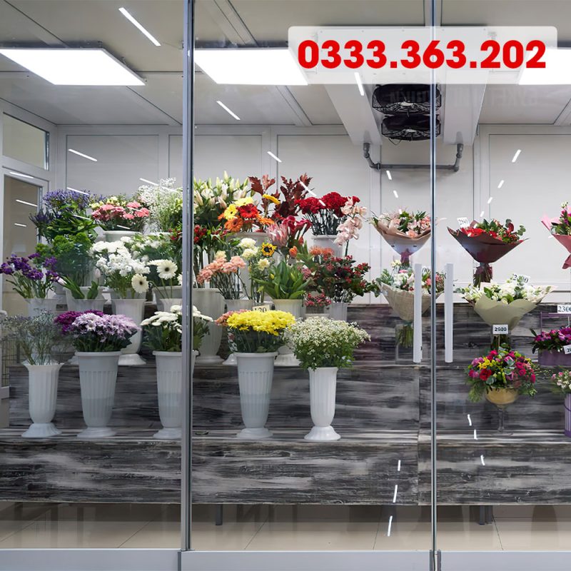 Công Ty TNHH Thương Mại Và Dịch Vụ Kỹ Thuật Hoàng Đạt