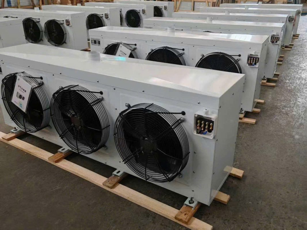 Công Ty TNHH Thương Mại Và Dịch Vụ Kỹ Thuật Hoàng Đạt